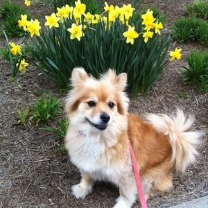 Meet your Posher, Peter